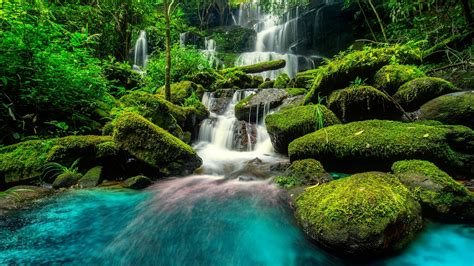 forest, stream, greenery, beautiful, creek, trees, brook, stones ...