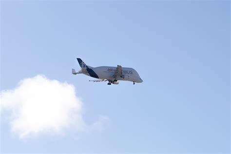 Beluga airbus landing in YYT! : r/newfoundland