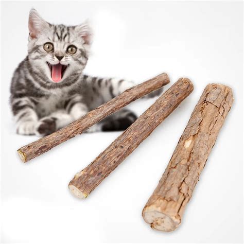 Cat Toys Molar Stick Cat Chew Toy Sticks Natural Matatabi Catnip Stick Silvervine Kitten Dental ...