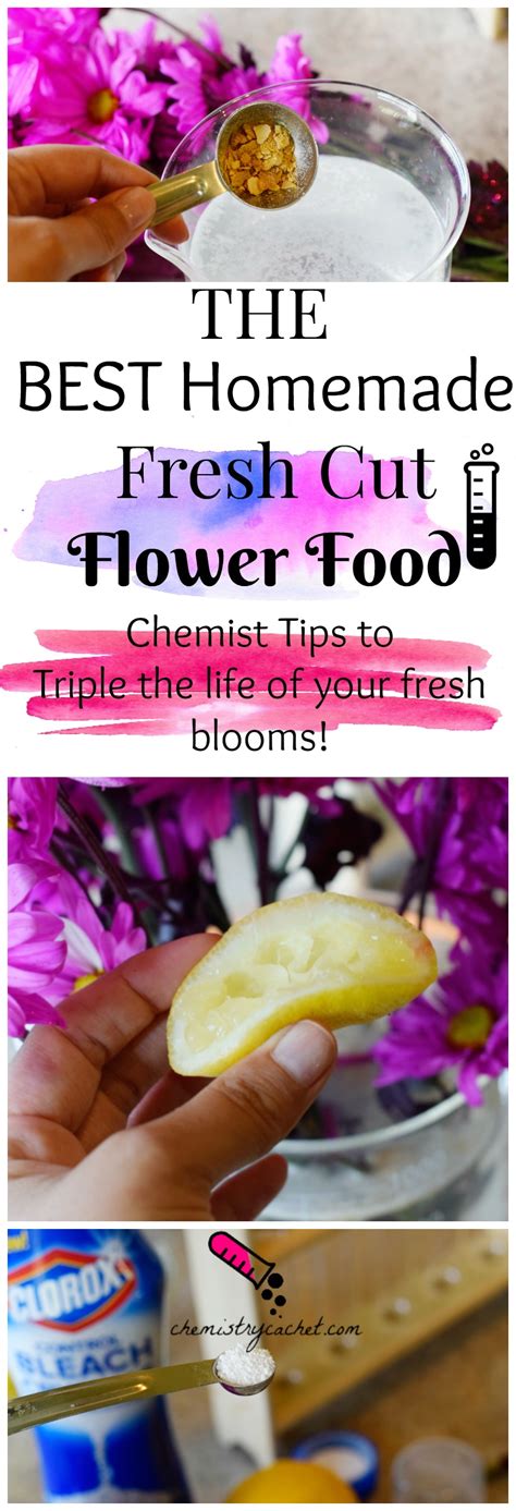 BEST Homemade Fresh Cut Flower Food Plus Tips on Why it Works