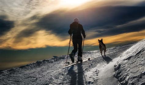 Hiking Gear With Dog | Adventure Outdoor