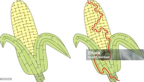 Corn Maze Stock Illustration - Download Image Now - Puzzle, Activity ...