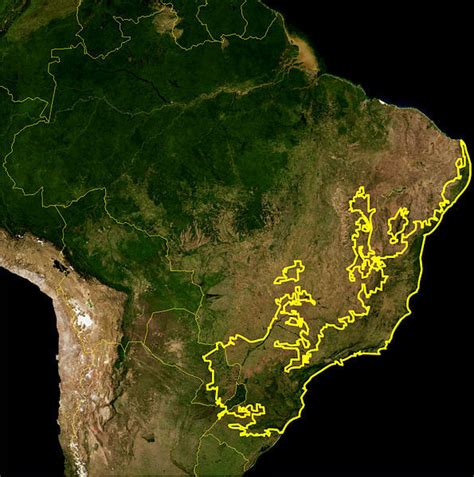 The Atlantic Forest or Mata Atlântica (South America) | LAC Geo