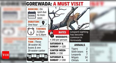 Gorewada zoo safari becoming tourist hotspot | Nagpur News - Times of India