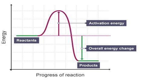 6 ENERGY LEVEL DIAGRAM BITESIZE - DiagramLevel