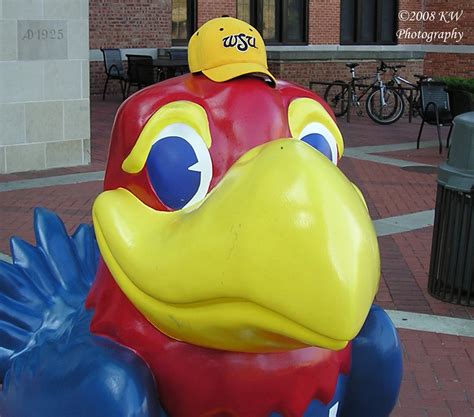 WSU's New Mascot | Wichita State University has a new mascot… | Flickr