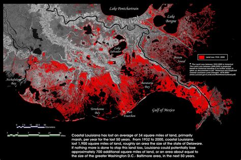 Distribution - Louisiana Wetlands