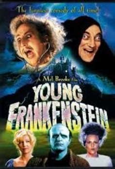 Young Frankenstein Essay - Parody vs. Satire by The Reflective Practitioner