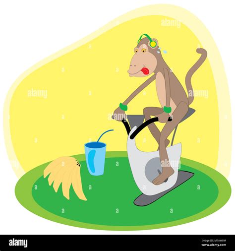 Monkey exercising on an exercise bike hi-res stock photography and images - Alamy