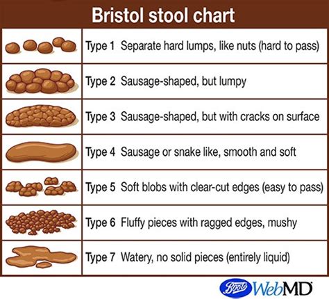 Bristol Stool Chart - The Organic Dietitian