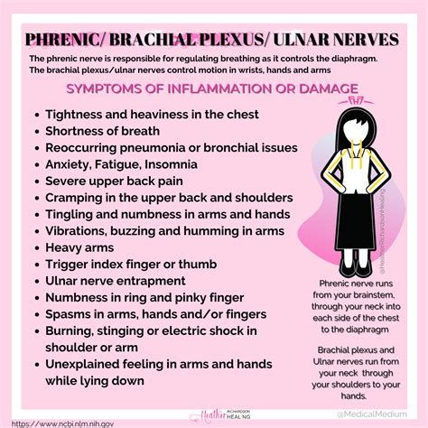 The phrenic nerve runs from the brain stem through your neck into each side of the chest all the ...