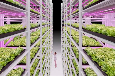 Vertical Indoor Farming System for Vegetable & Microgreens | Montel Inc.