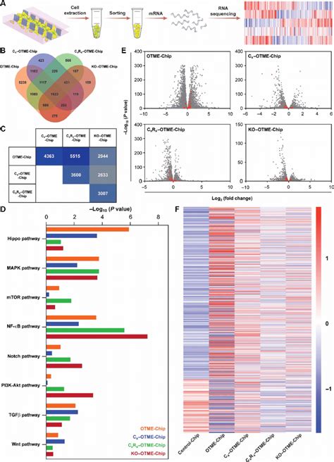 RNA-seq and differential gene expression analysis reveals the efficacy... | Download Scientific ...