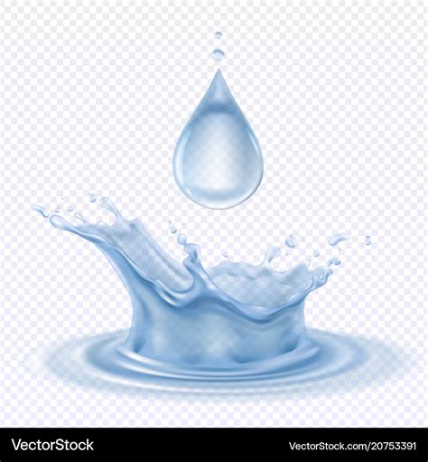 Water drop and splash design concept Royalty Free Vector