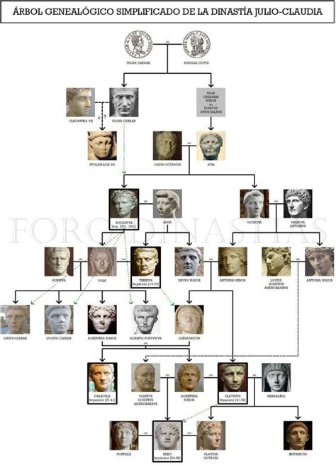 LA FAMILIA JULIO-CLAUDIA (simplificada) | Roman history, Rome history, Ancient history