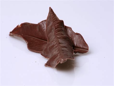 Chocolate Leaves Recipe | CDKitchen.com