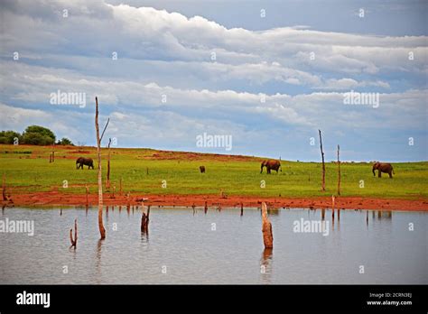 Sunset over Lake Kariba in Zimbabwe Stock Photo - Alamy