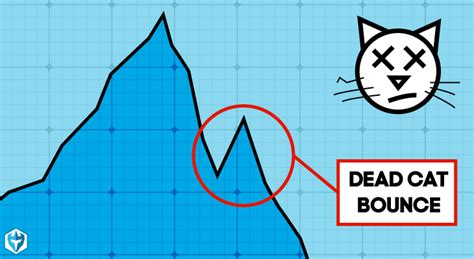 Dead Cat Bounce Definition: Day Trading Terminology - Warrior Trading