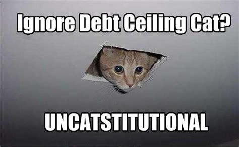 Picture of the Day: Debt Ceiling Cat Is Watching You Negotiate - The ...