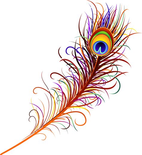 Vector Peacock Feather Transparent Background - PNG Mart