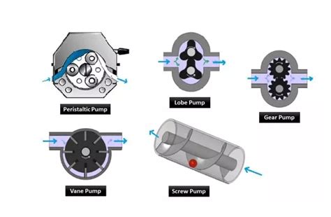 Article Positive Displacement Pumps Performance