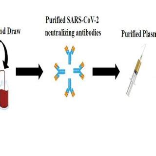 Schematic diagram of plasma therapy. | Download Scientific Diagram