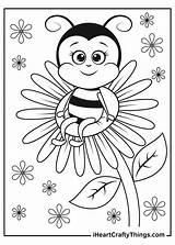 Bee Coloring Pages sketch template