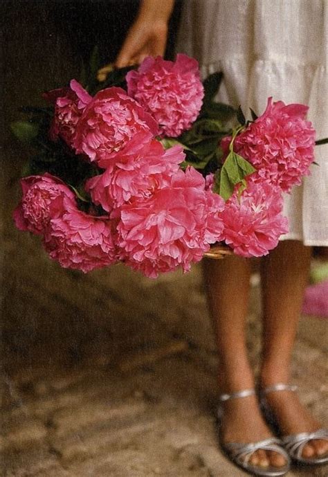 Linprobable coup de Coeur My Flower, Fresh Flowers, Flower Garden, Beautiful Flowers, Pink ...