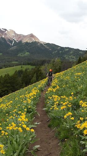 South Chilcotin Mountains Provincial Park Mountain Bike Trails | Trailforks