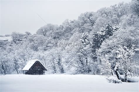 Forest Hut In The Snow At The Foot Of The Mountain In Winter Picture ...