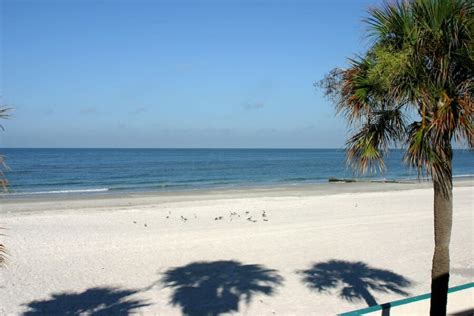 10 Most Beautiful Beaches in Tampa, FL (and Nearby!)