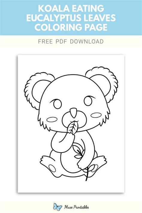 Free Koala Eating Eucalyptus Leaves Coloring Page | Coloring pages, Eucalyptus leaves, Leaf coloring