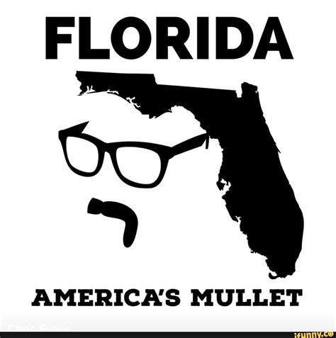 FLORIDA AMERICA'S MULLET - iFunny