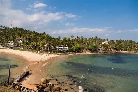 Travel To Mirissa Beach Sri Lanka 2024 The Best Choice