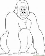 Gorilla Coloring Pages Printable sketch template