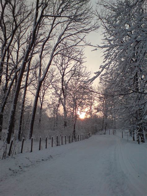 First snow in Oslo - Winter Photo (603767) - Fanpop