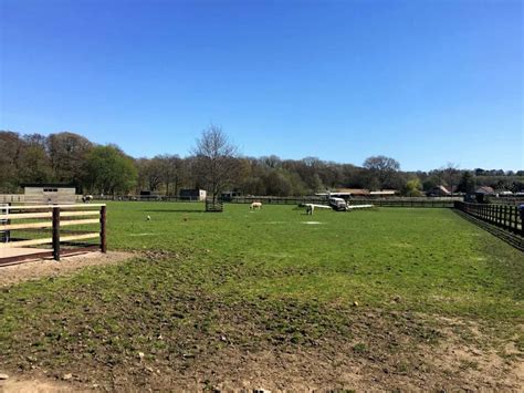 A Day Out at Cefn Mably Farm Park | Welsh Mum of One