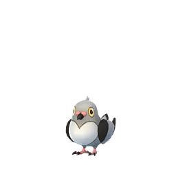 Pidove (Pokémon GO) - Best Moveset, Weakness, Counters, Shiny