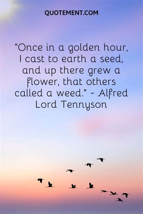 120 Golden Hour Quotes About The Magical Time Of The Day