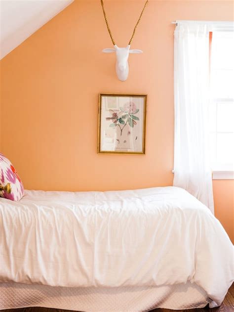 Peach Paint Color Home Design Ideas, Pictures, Remodel and Decor