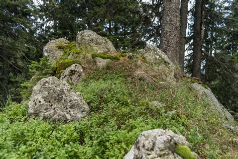 Andesite is Volcanic Rock Which You Can Find Also in Slovenia Stock Image - Image of design ...