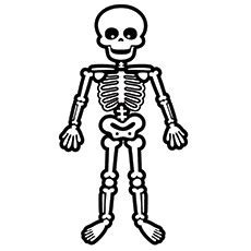 Simple Skeleton Drawing at GetDrawings | Free download