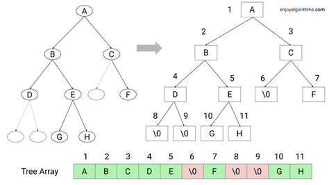 Binary Tree Introduction, Properties, Types and Applications