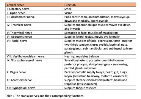 Cranial Nerves Table