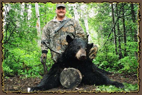 Quebec Canada Black Bear Hunting Outfitters