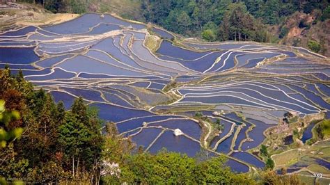 Yuanyang Rice Terraces - All You Need to Know BEFORE You Go (2024)