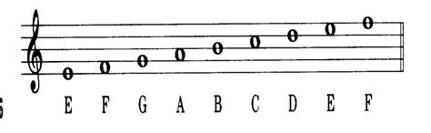 Violin Notes for Beginners: All Basics Explained | NT Instruments