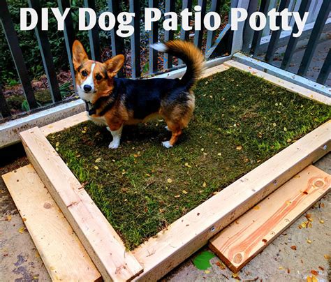 15 DIY Dog Porch Potty & Grass Box Projects - PlayBarkRun