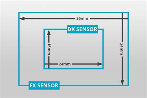 Nikon DX vs FX: What’s the Difference?