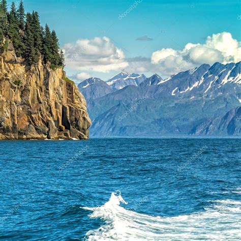 Wildlife Cruise around Resurrection Bay in Alaska — Stock Photo ...